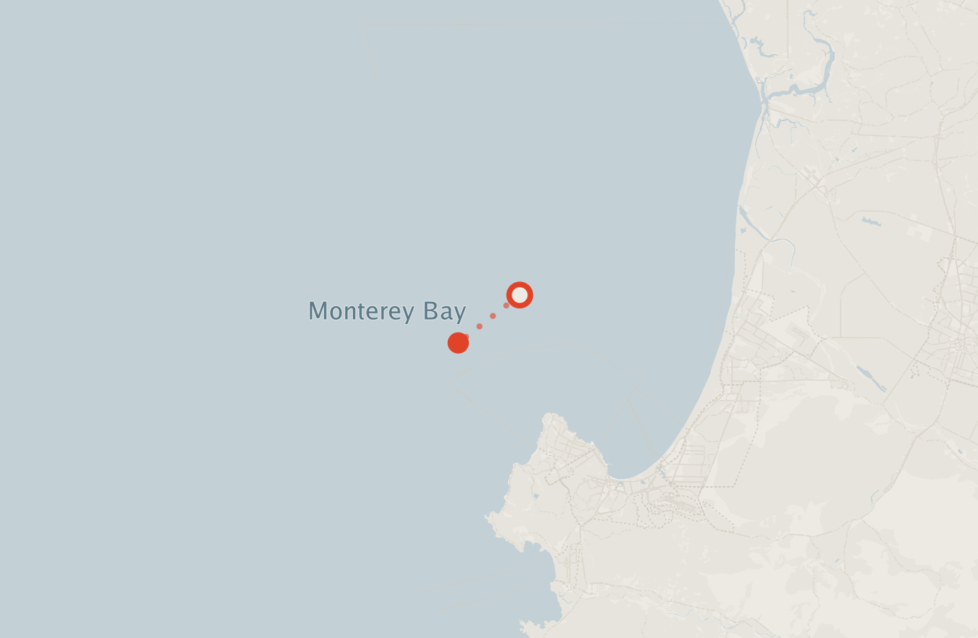 Activity map — real sighting points on an OpenStreetMap basemap