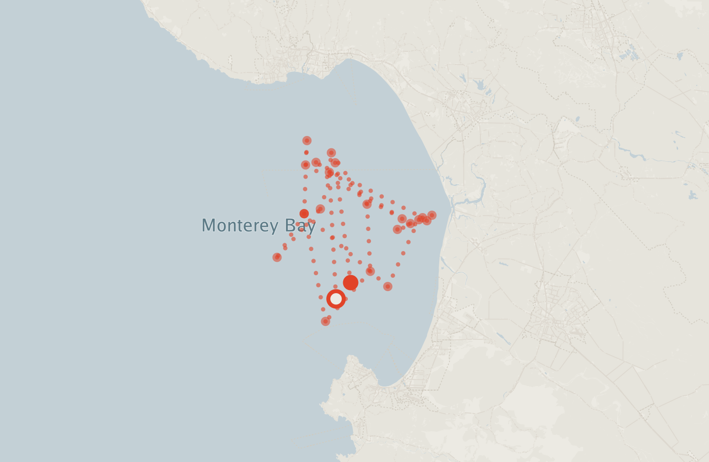 Activity map — real sighting points on an OpenStreetMap basemap