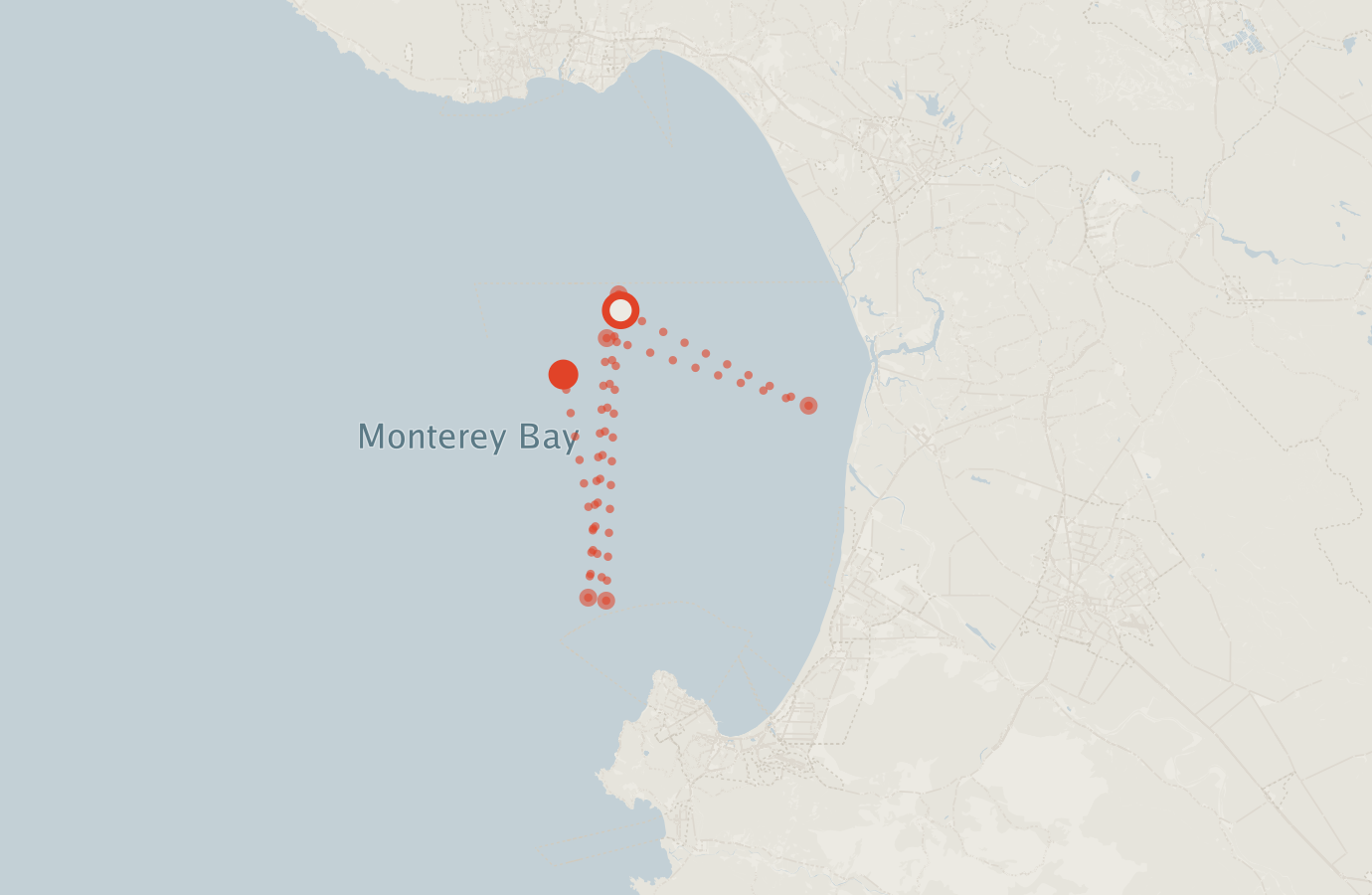 Activity map — real sighting points on an OpenStreetMap basemap