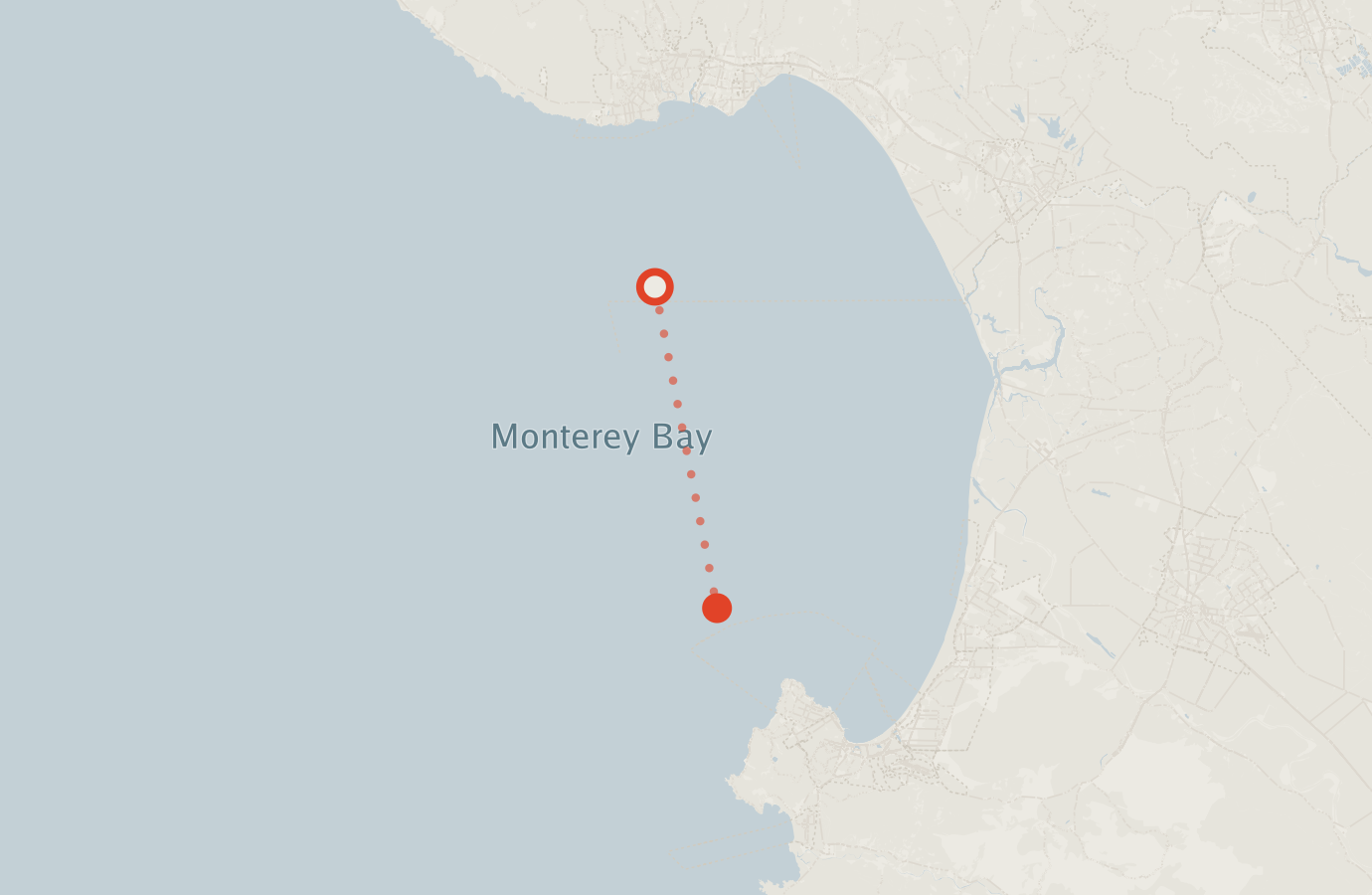 Activity map — real sighting points on an OpenStreetMap basemap