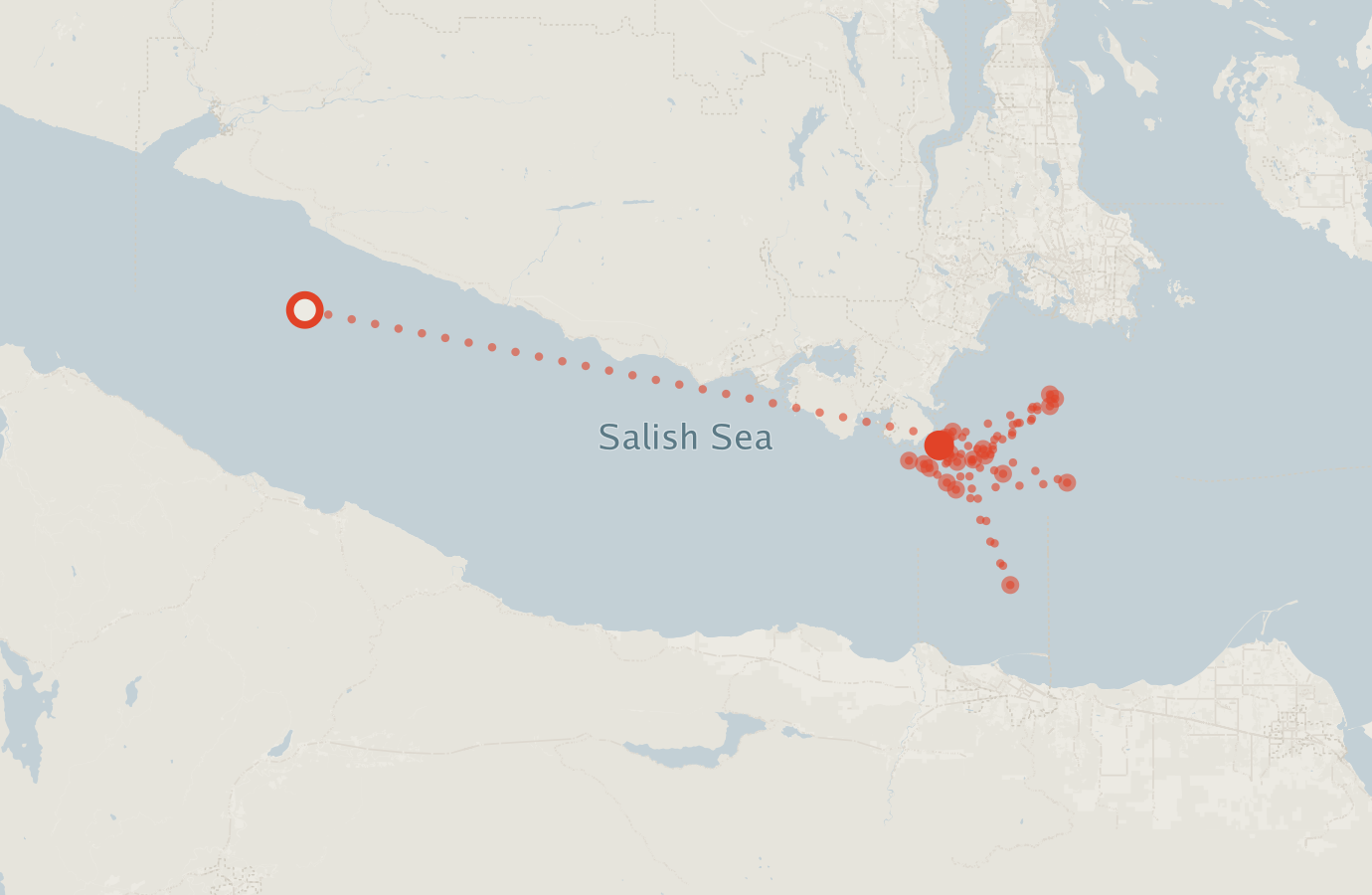 Activity map — real sighting points on an OpenStreetMap basemap