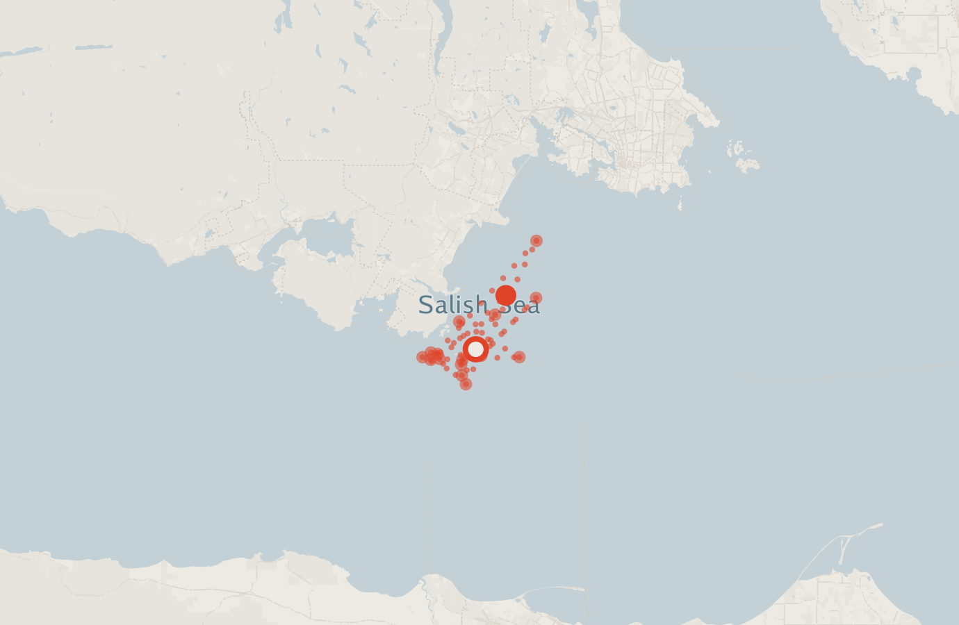 Activity map — real sighting points on an OpenStreetMap basemap