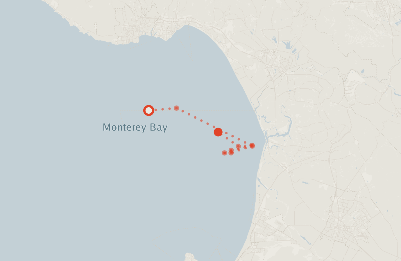Activity map — real sighting points on an OpenStreetMap basemap