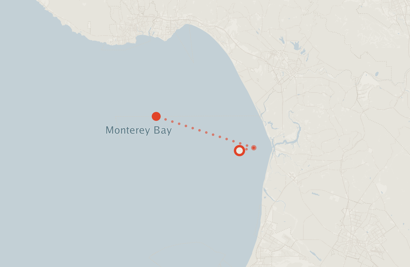 Activity map — real sighting points on an OpenStreetMap basemap