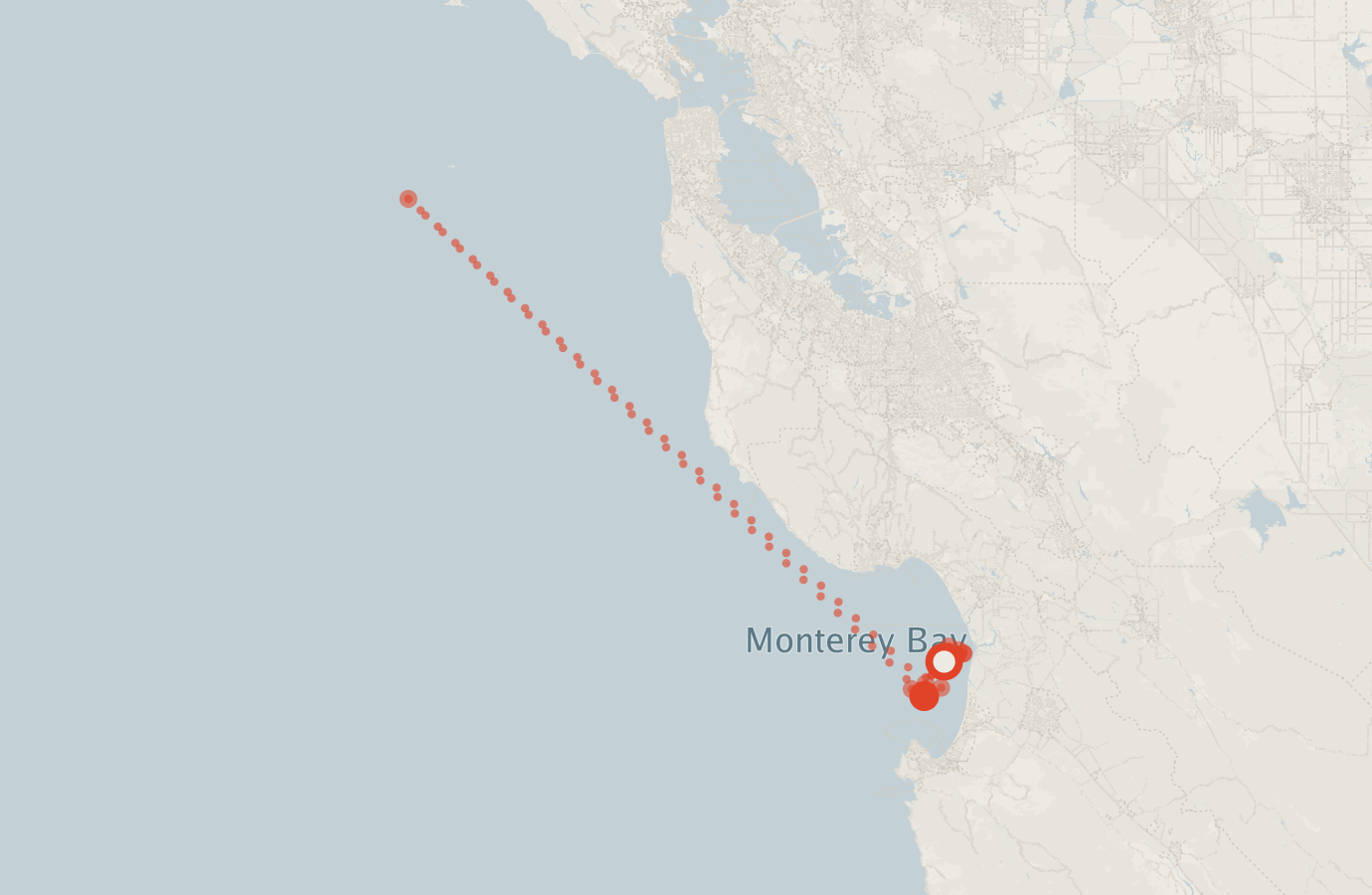 Activity map — real sighting points on an OpenStreetMap basemap