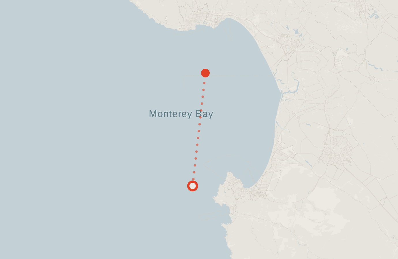 Activity map — real sighting points on an OpenStreetMap basemap