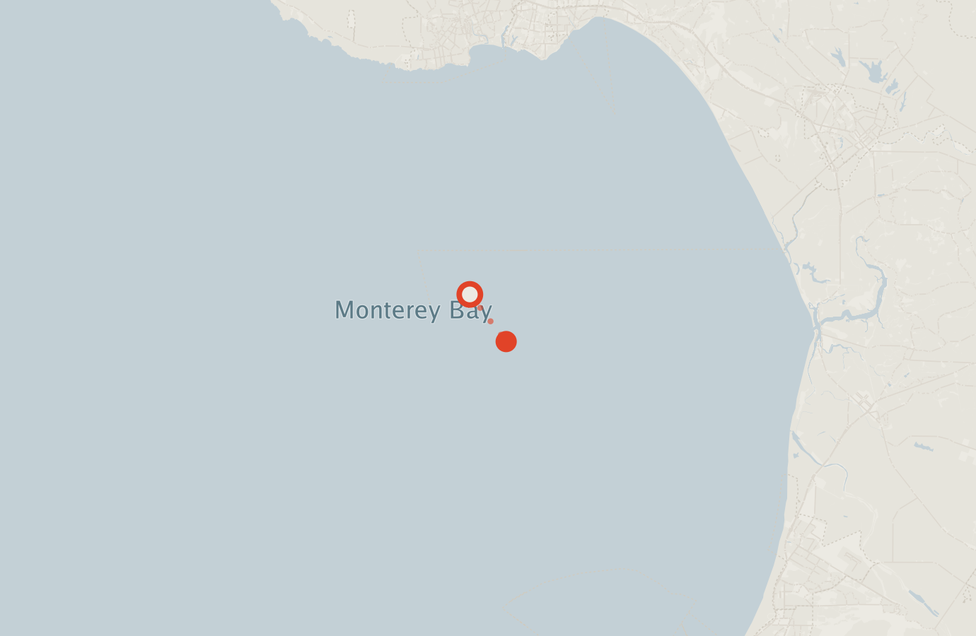 Activity map — real sighting points on an OpenStreetMap basemap