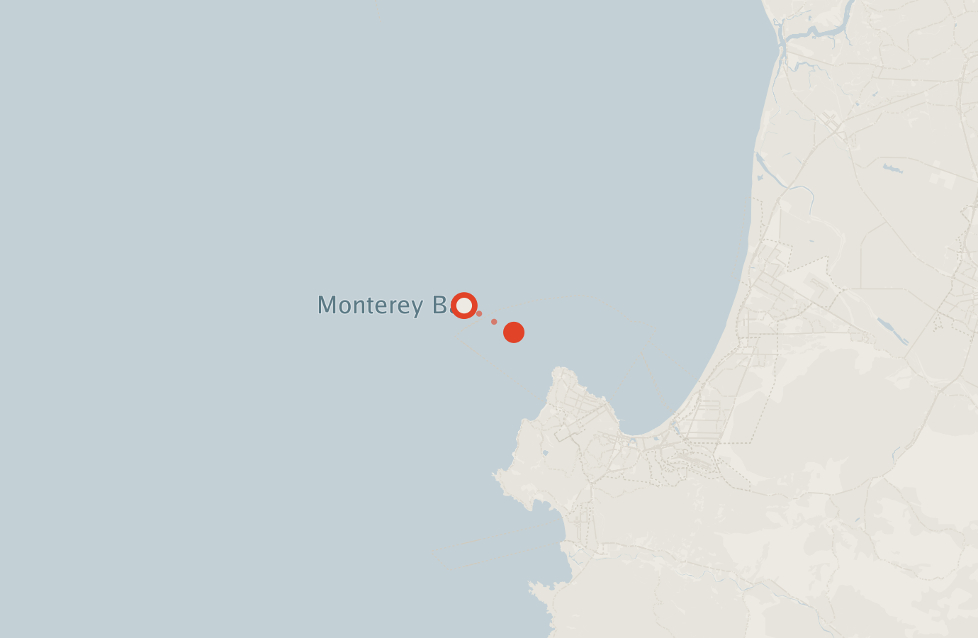 Activity map — real sighting points on an OpenStreetMap basemap