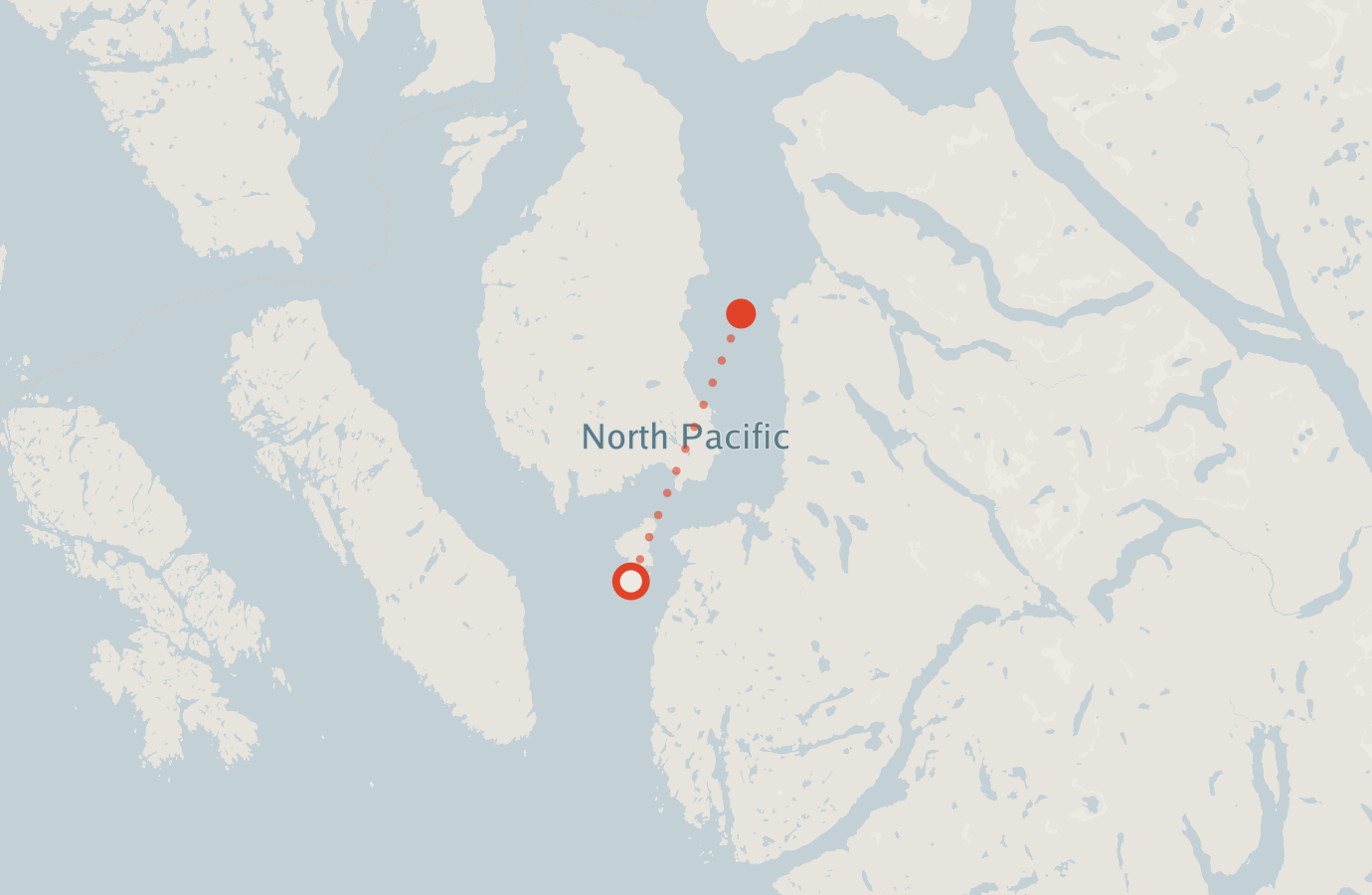 Activity map — real sighting points on an OpenStreetMap basemap