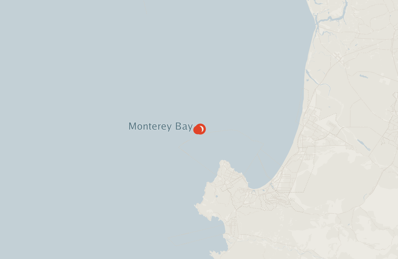 Activity map — real sighting points on an OpenStreetMap basemap