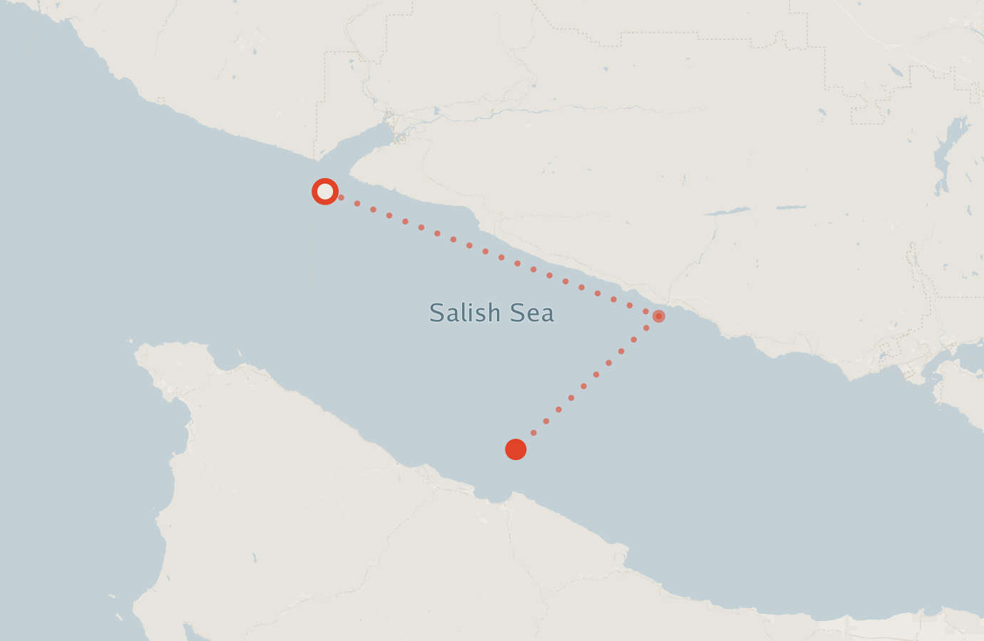 Activity map — real sighting points on an OpenStreetMap basemap