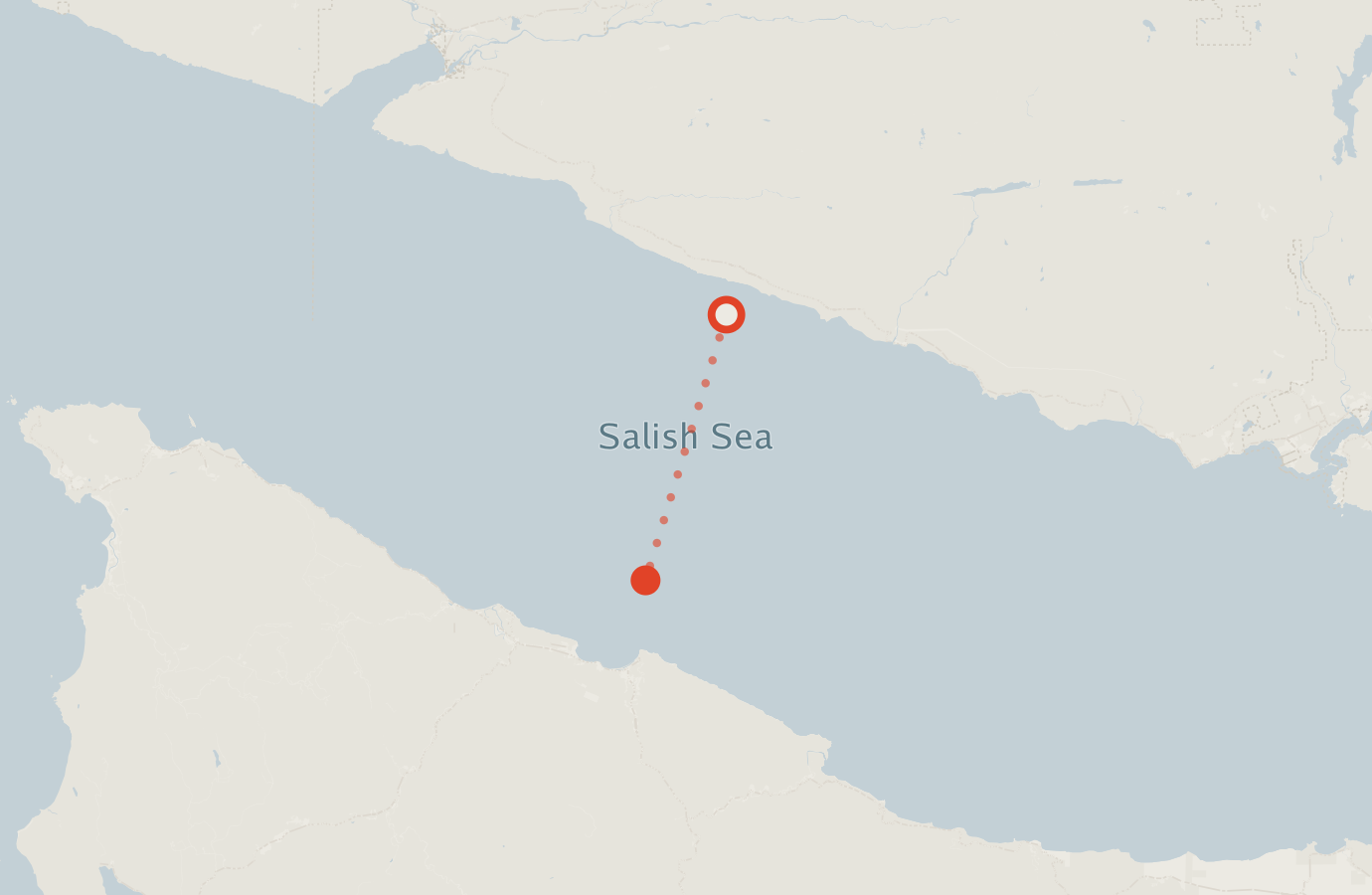 Activity map — real sighting points on an OpenStreetMap basemap