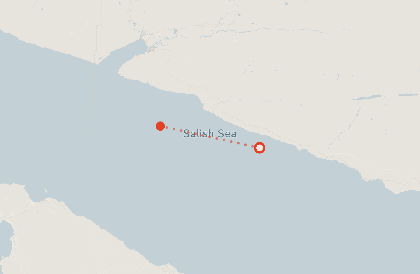Activity map — real sighting points on an OpenStreetMap basemap