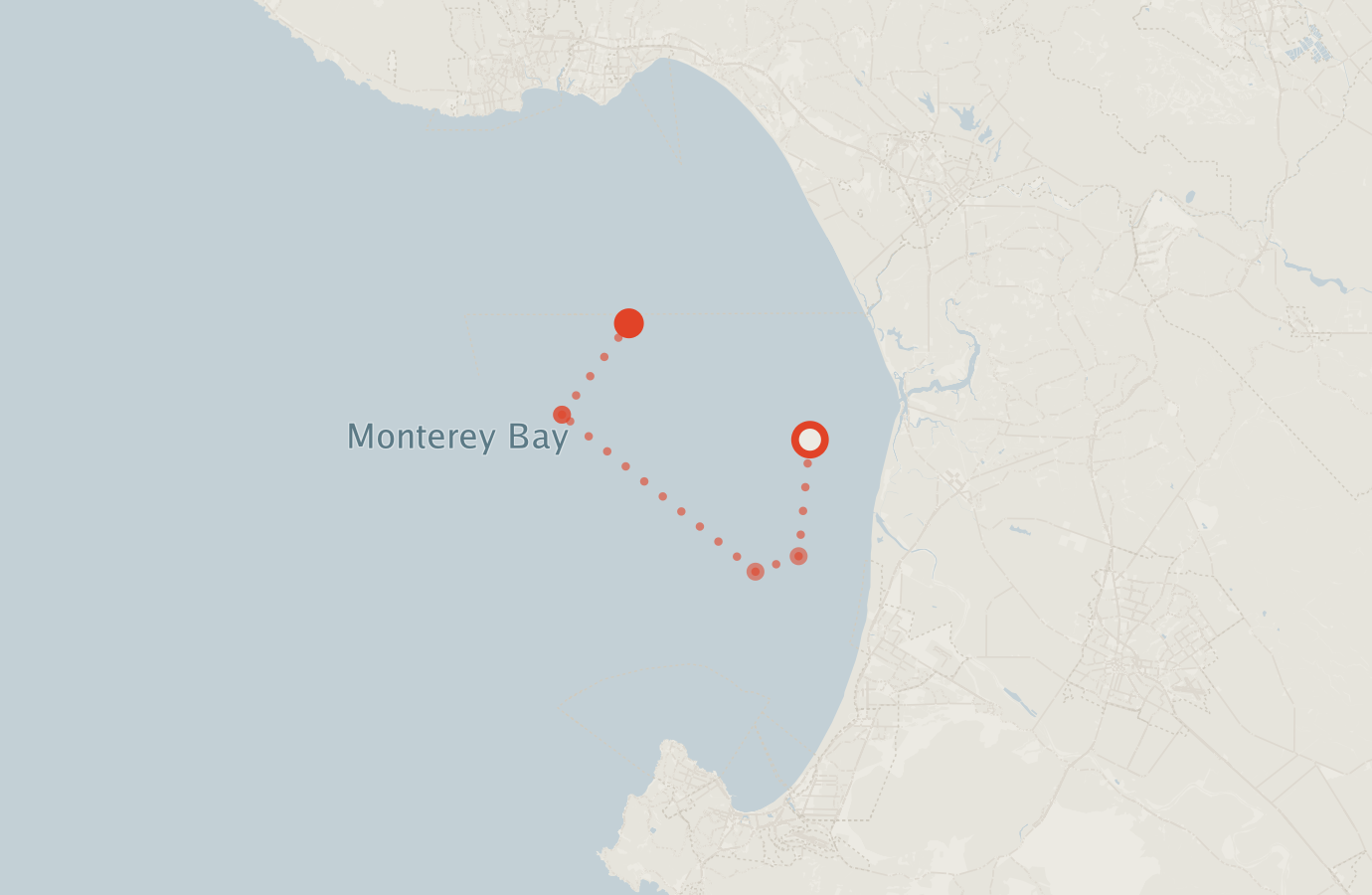 Activity map — real sighting points on an OpenStreetMap basemap
