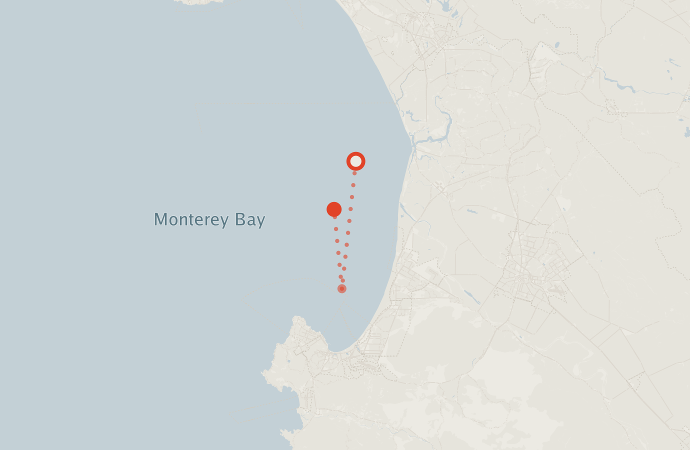 Activity map — real sighting points on an OpenStreetMap basemap