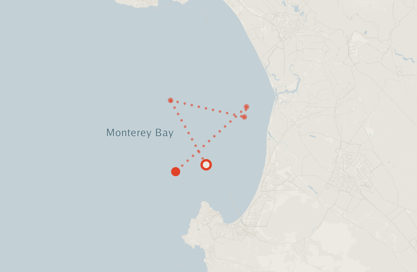 Activity map — real sighting points on an OpenStreetMap basemap