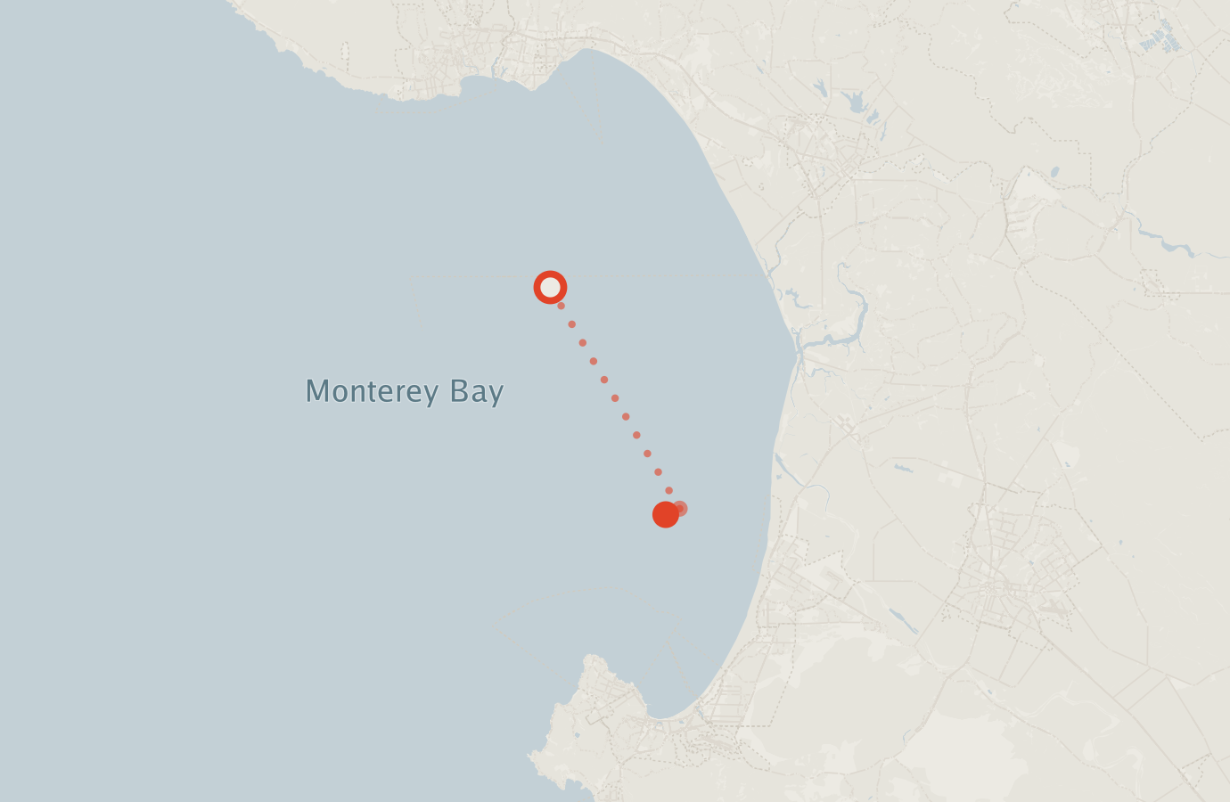 Activity map — real sighting points on an OpenStreetMap basemap
