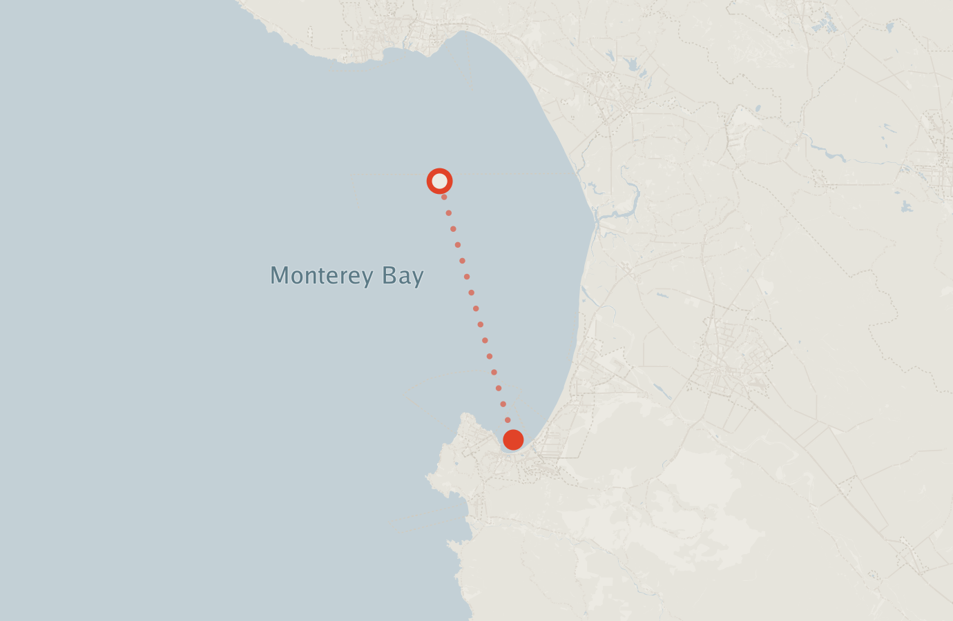 Activity map — real sighting points on an OpenStreetMap basemap