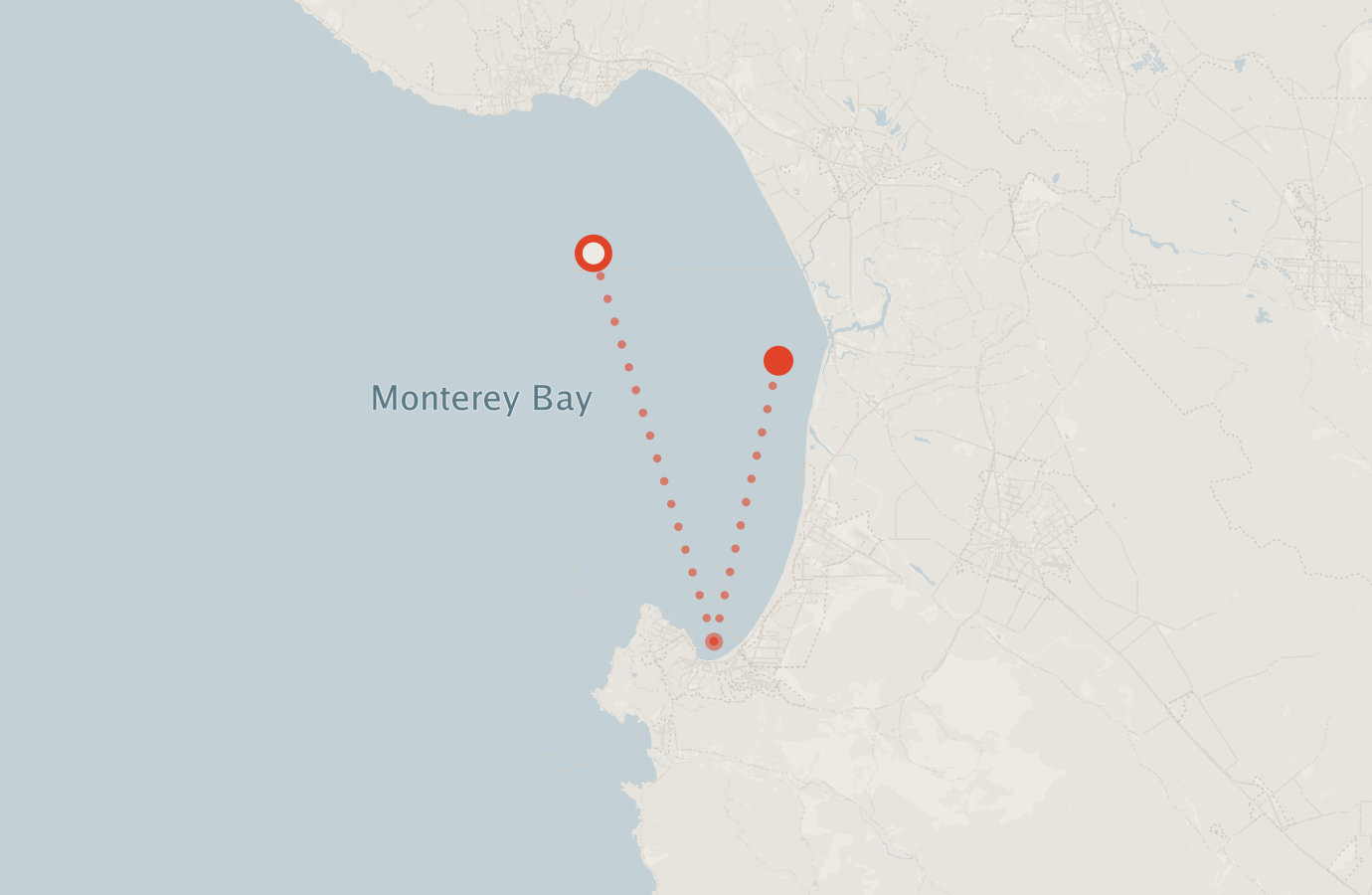 Activity map — real sighting points on an OpenStreetMap basemap