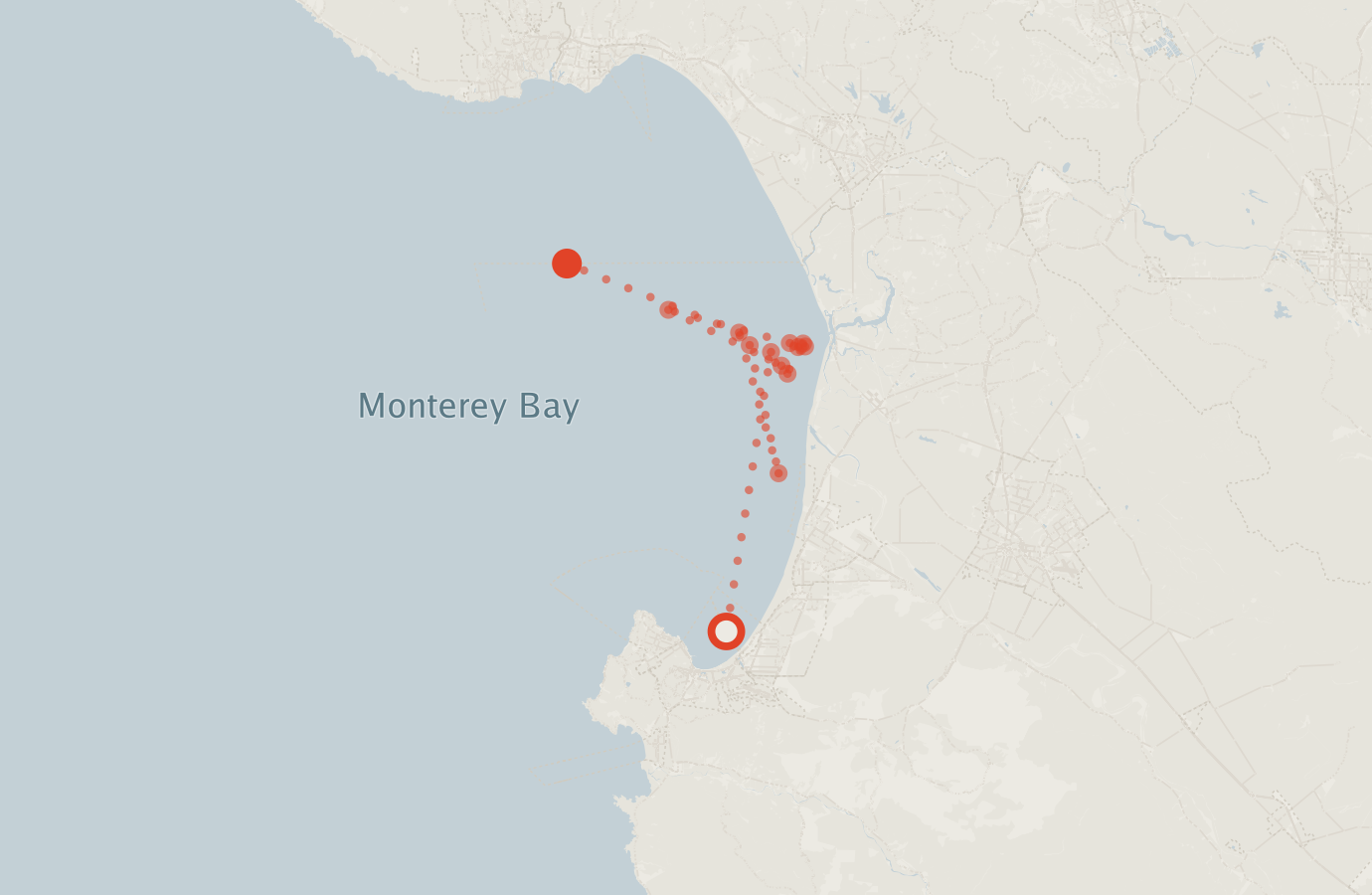Activity map — real sighting points on an OpenStreetMap basemap