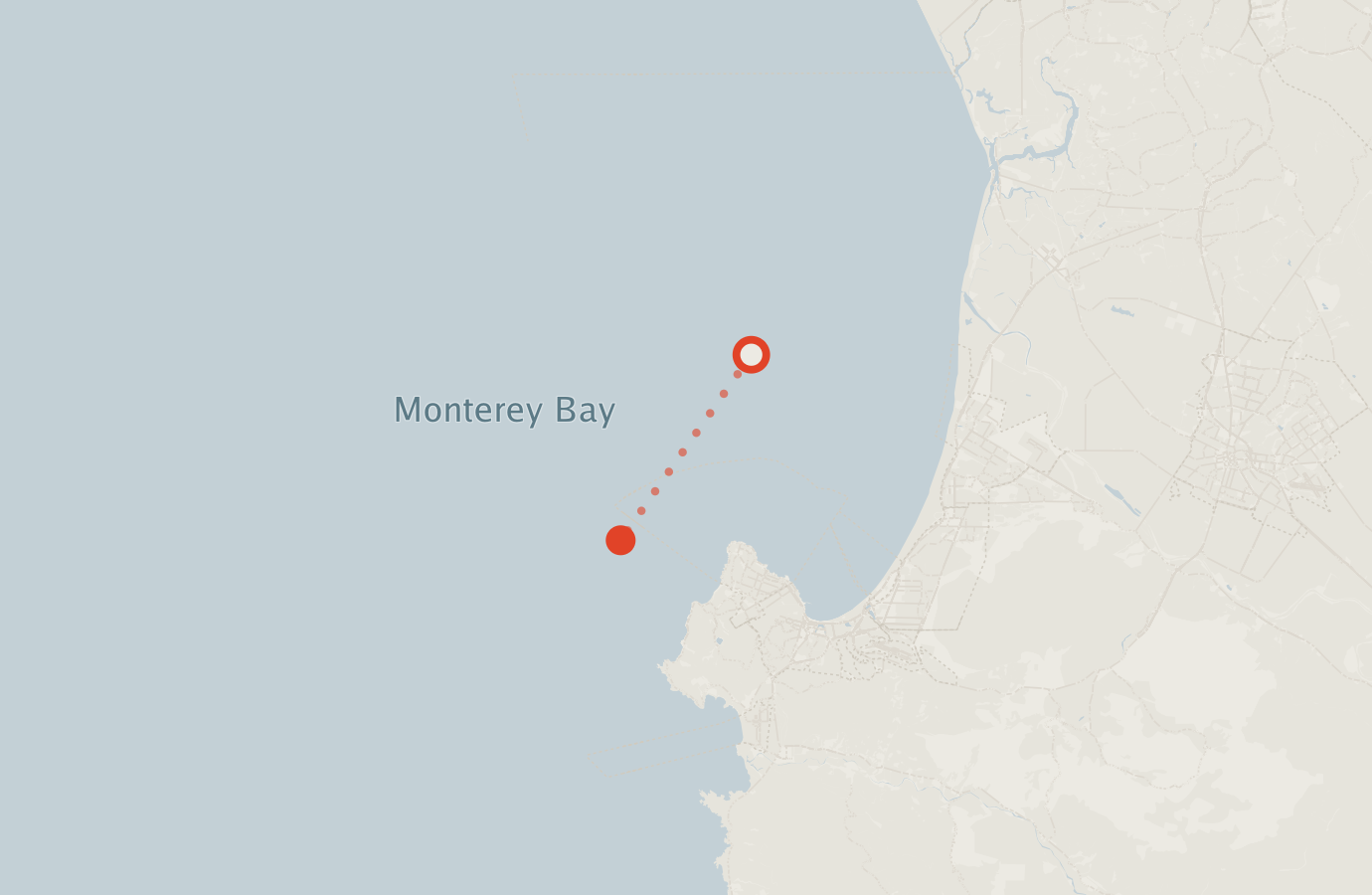 Activity map — real sighting points on an OpenStreetMap basemap