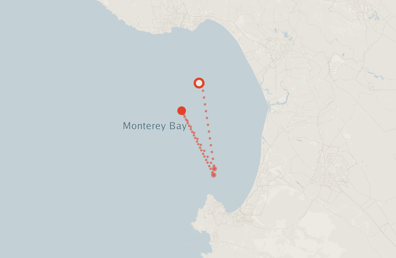 Activity map — real sighting points on an OpenStreetMap basemap