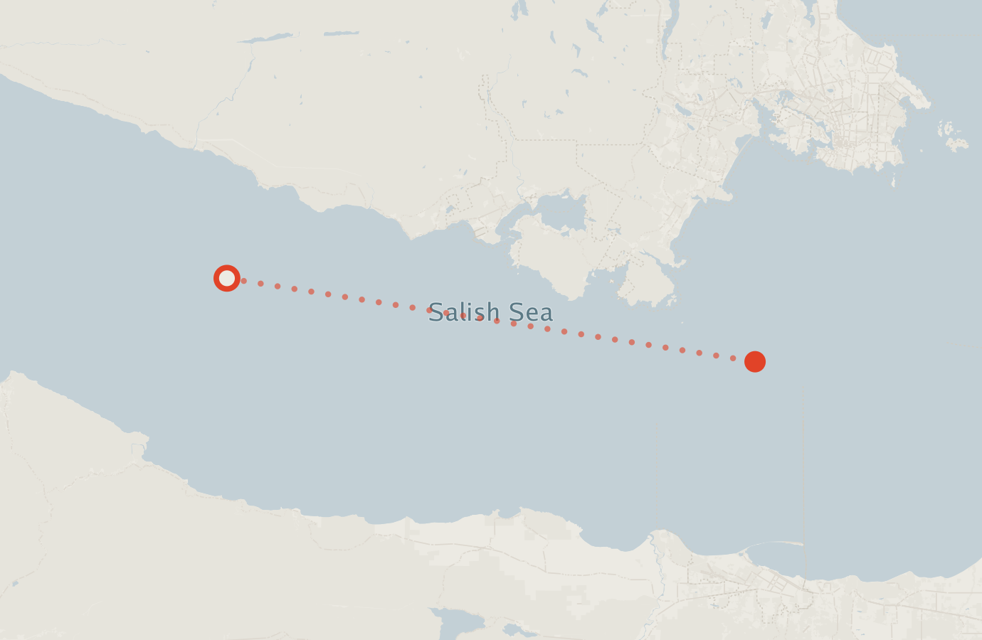 Activity map — real sighting points on an OpenStreetMap basemap