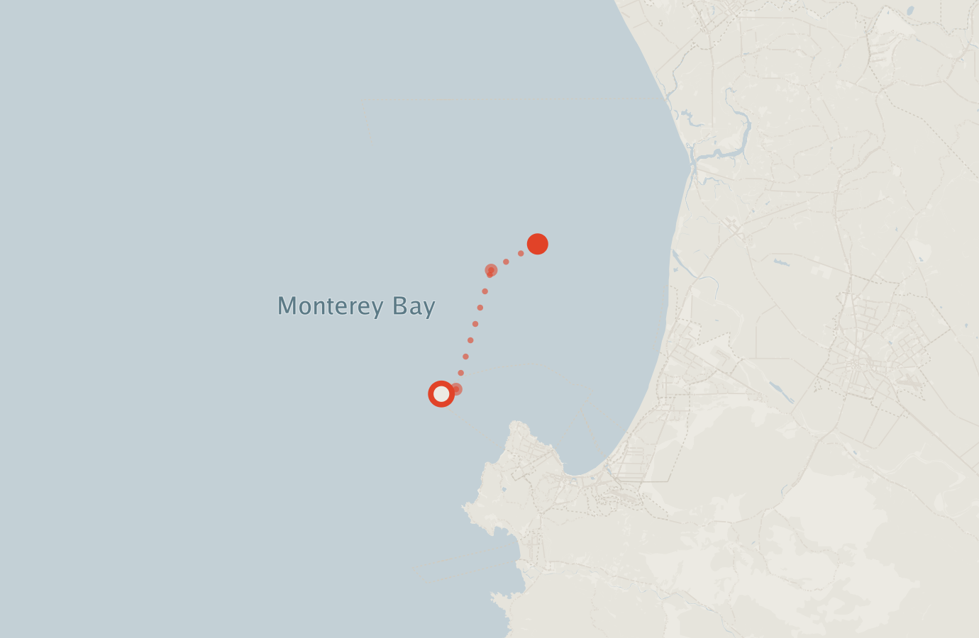 Activity map — real sighting points on an OpenStreetMap basemap