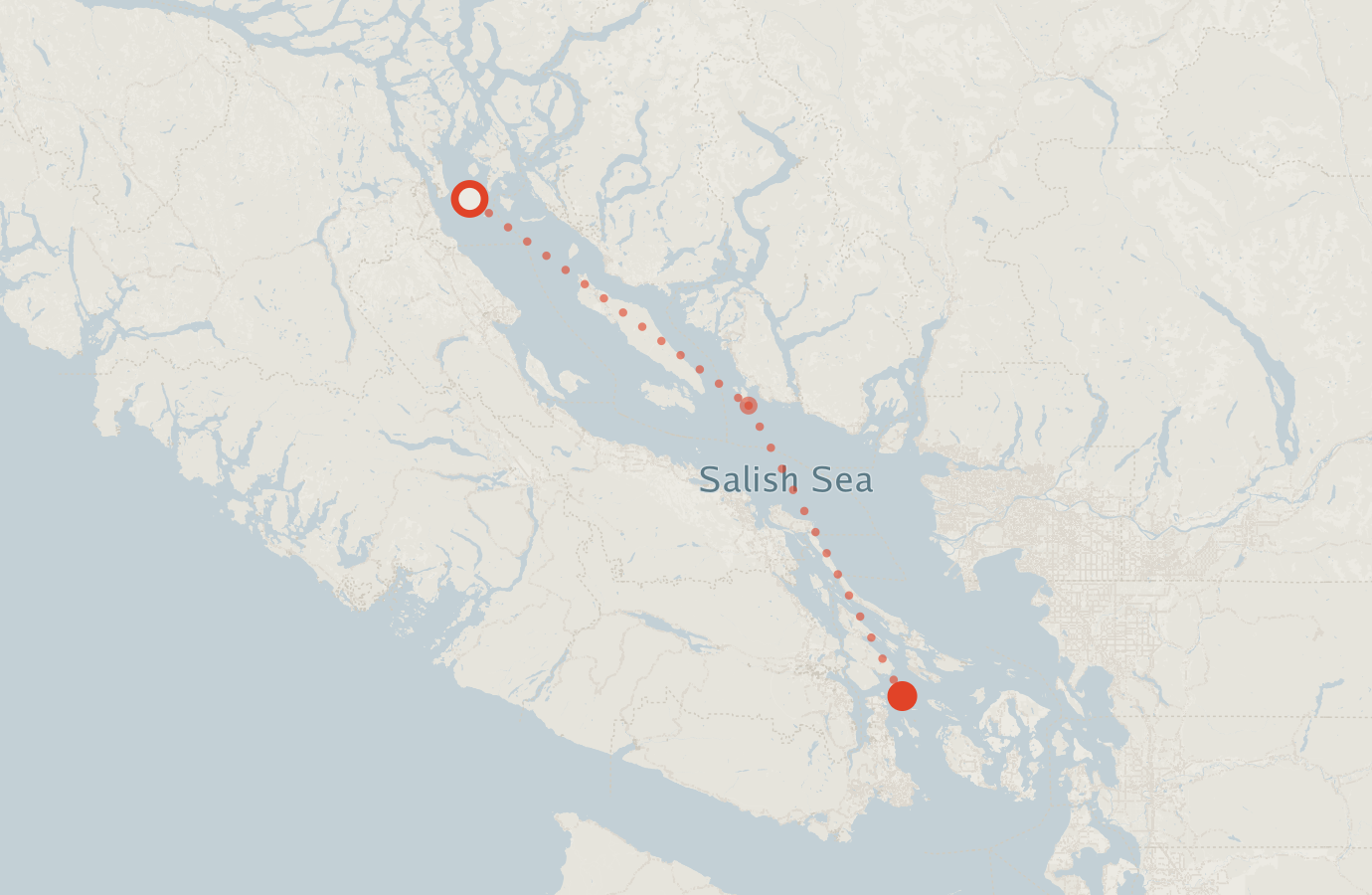 Activity map — real sighting points on an OpenStreetMap basemap
