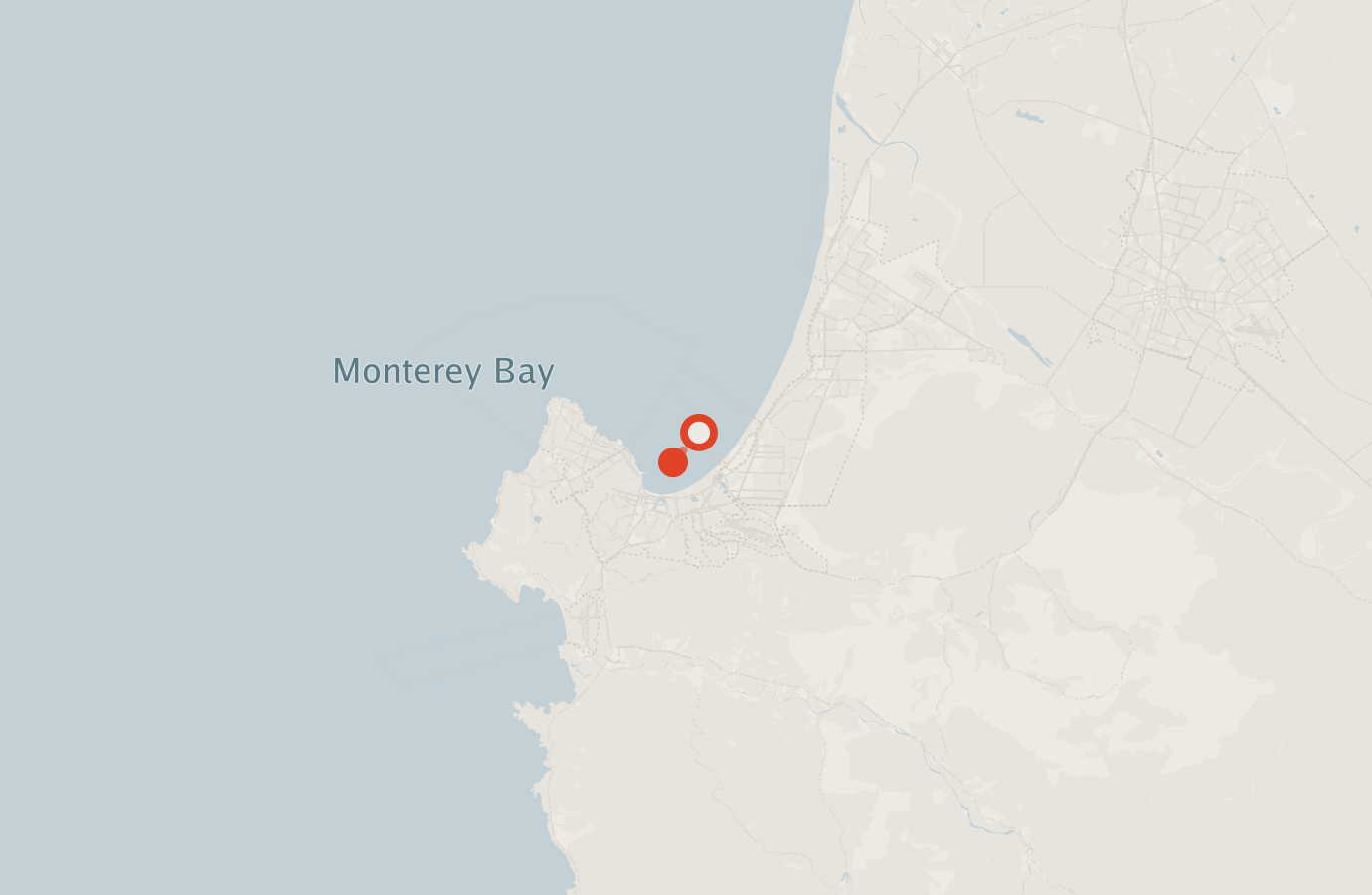 Activity map — real sighting points on an OpenStreetMap basemap