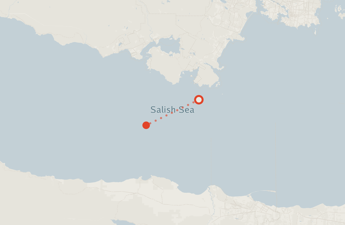 Activity map — real sighting points on an OpenStreetMap basemap