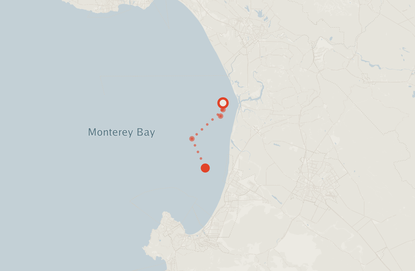 Activity map — real sighting points on an OpenStreetMap basemap