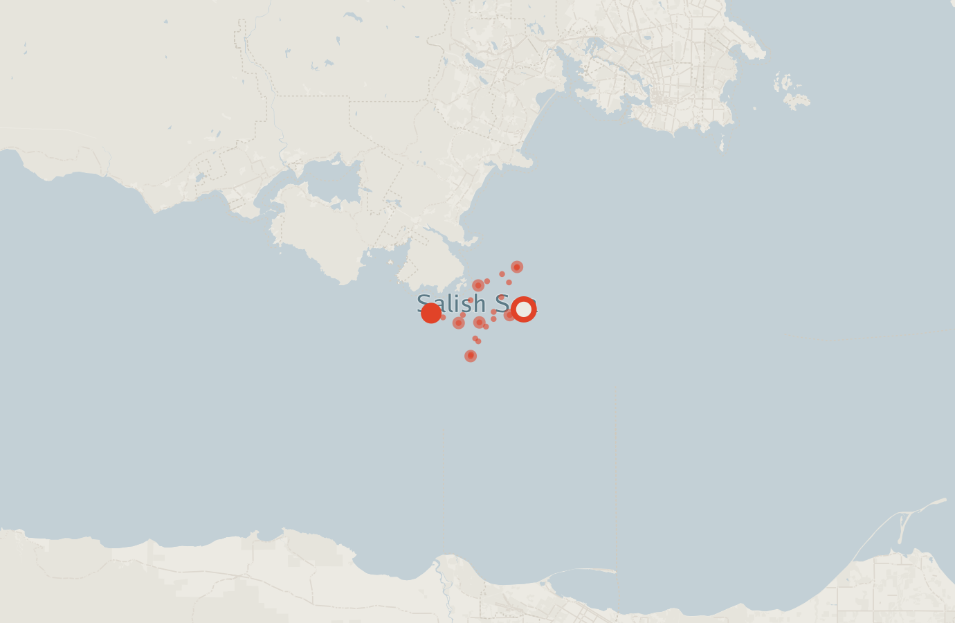 Activity map — real sighting points on an OpenStreetMap basemap