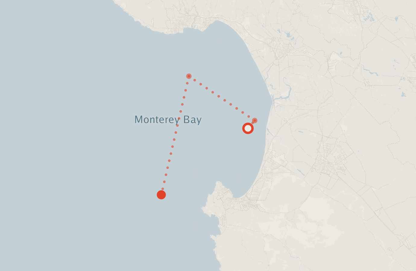 Activity map — real sighting points on an OpenStreetMap basemap