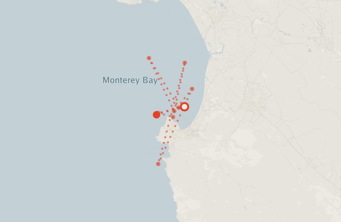 Activity map — real sighting points on an OpenStreetMap basemap