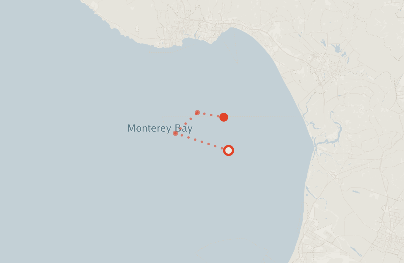 Activity map — real sighting points on an OpenStreetMap basemap