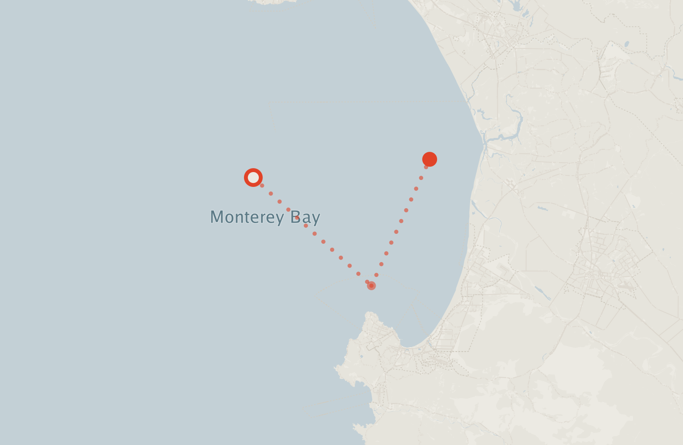 Activity map — real sighting points on an OpenStreetMap basemap