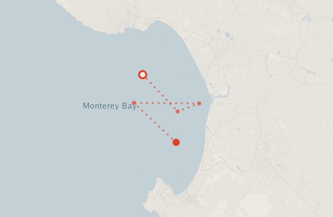 Activity map — real sighting points on an OpenStreetMap basemap
