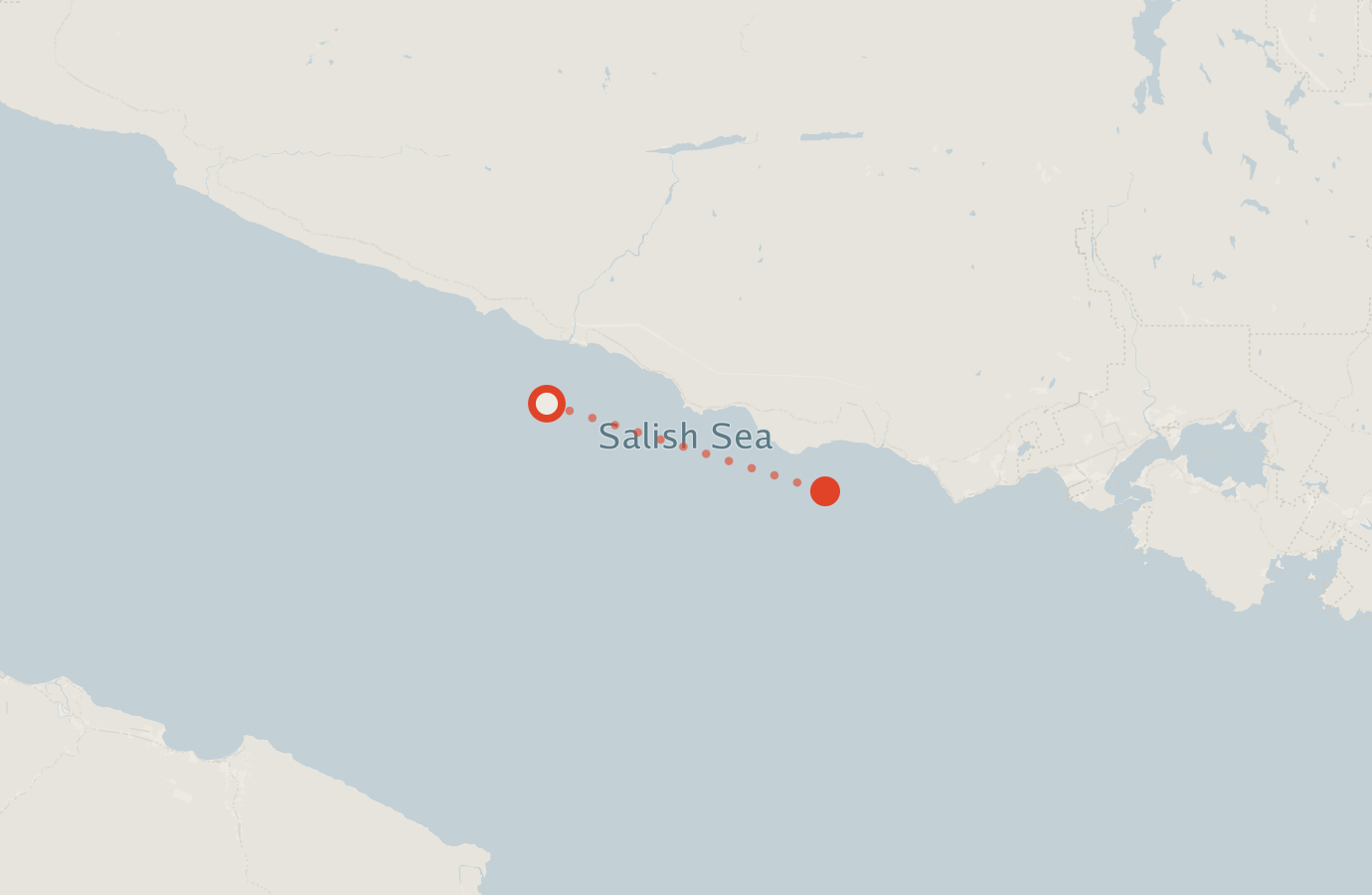 Activity map — real sighting points on an OpenStreetMap basemap