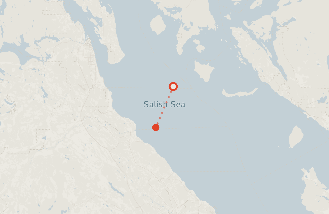 Activity map — real sighting points on an OpenStreetMap basemap