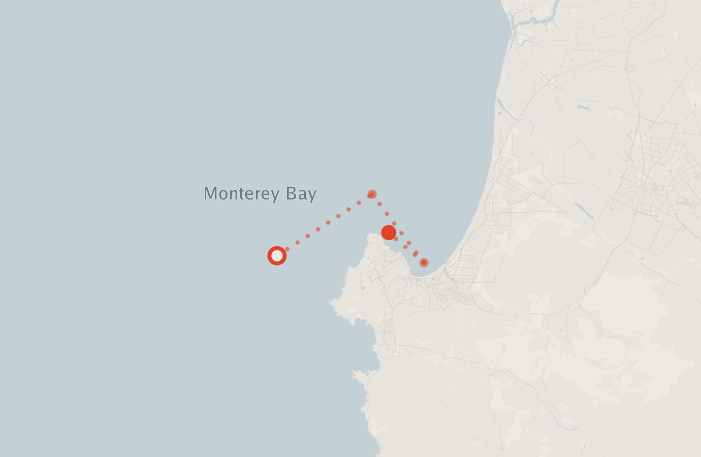 Activity map — real sighting points on an OpenStreetMap basemap