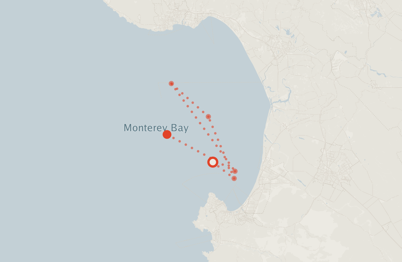 Activity map — real sighting points on an OpenStreetMap basemap