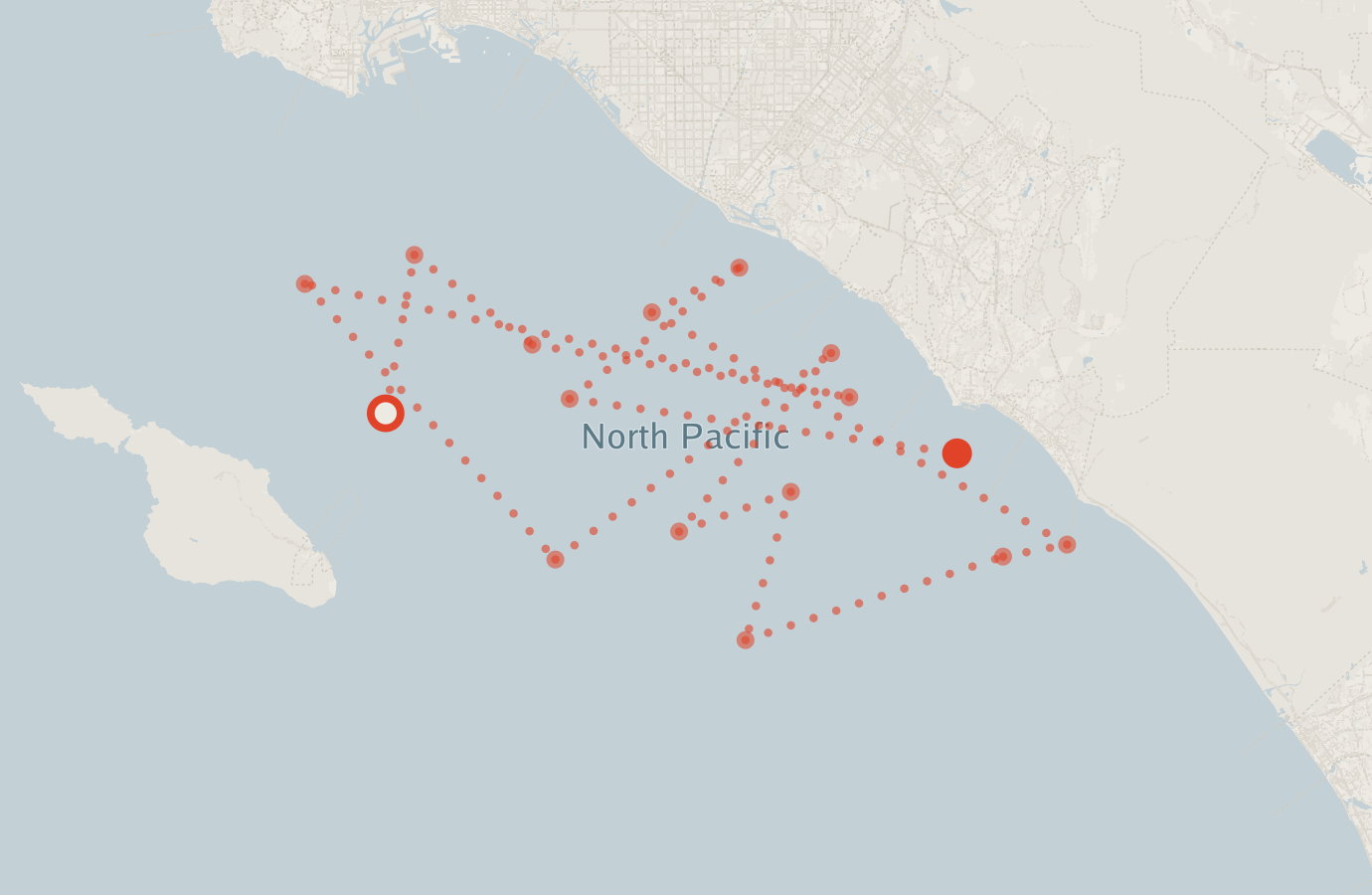 Activity map — real sighting points on an OpenStreetMap basemap