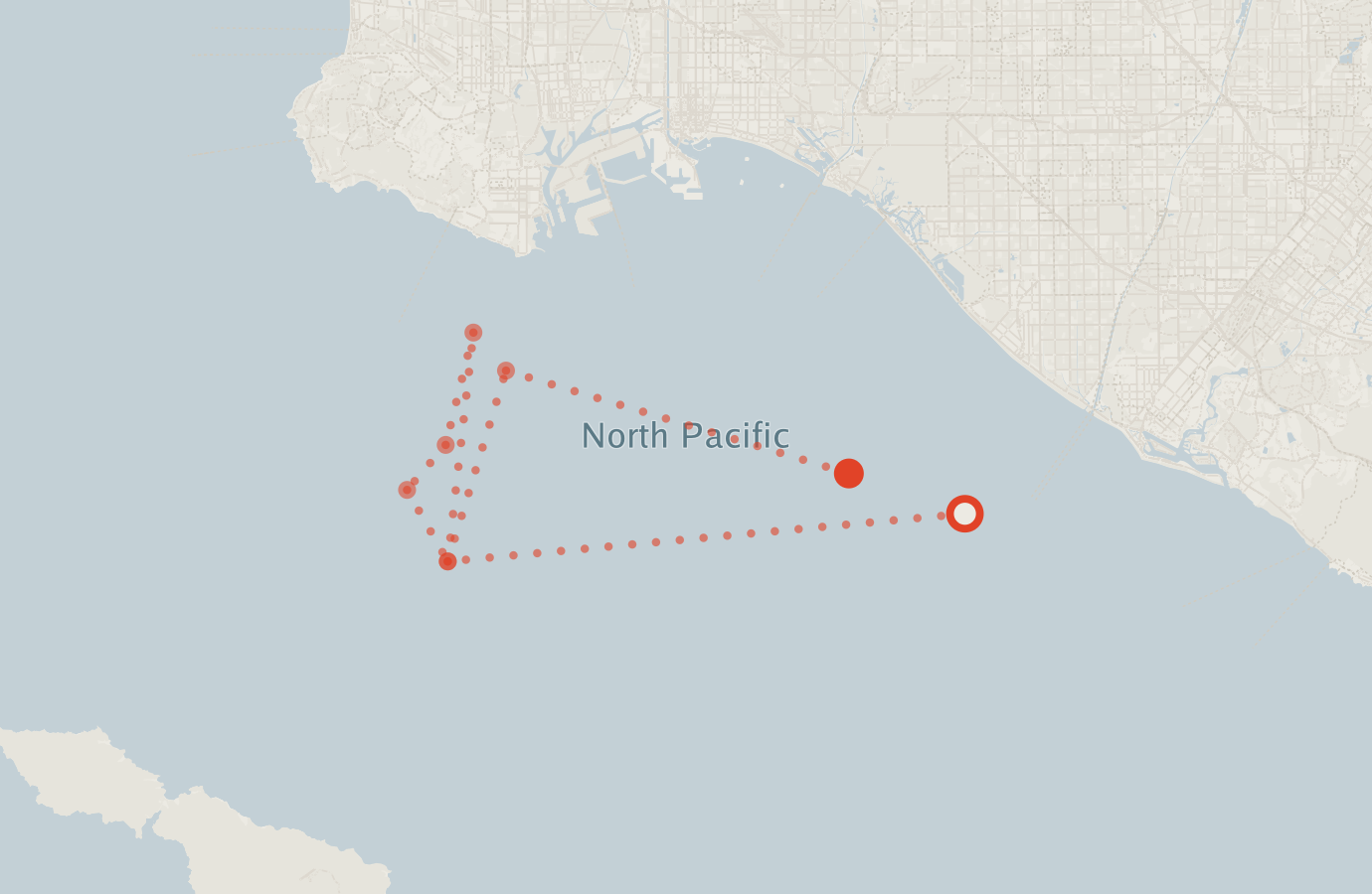 Activity map — real sighting points on an OpenStreetMap basemap