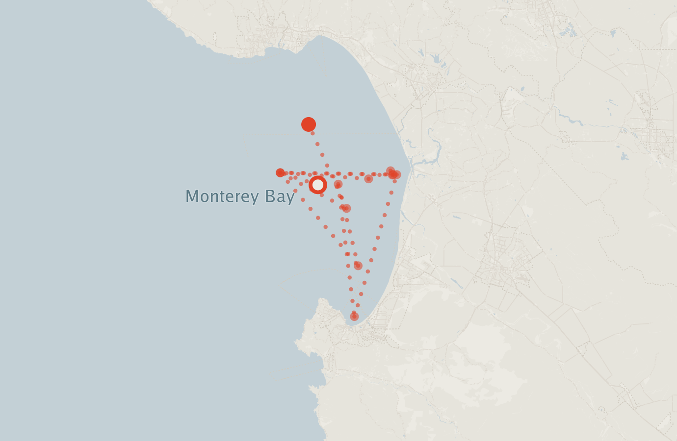 Activity map — real sighting points on an OpenStreetMap basemap