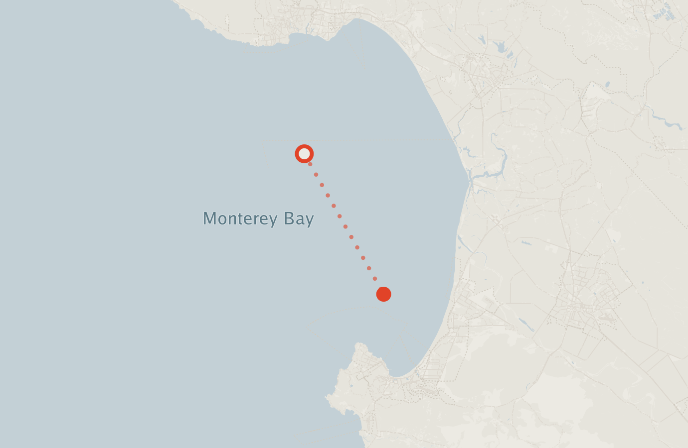 Activity map — real sighting points on an OpenStreetMap basemap