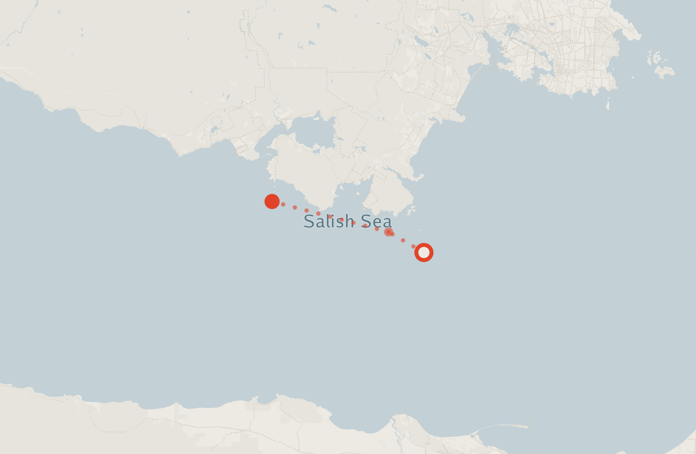 Activity map — real sighting points on an OpenStreetMap basemap