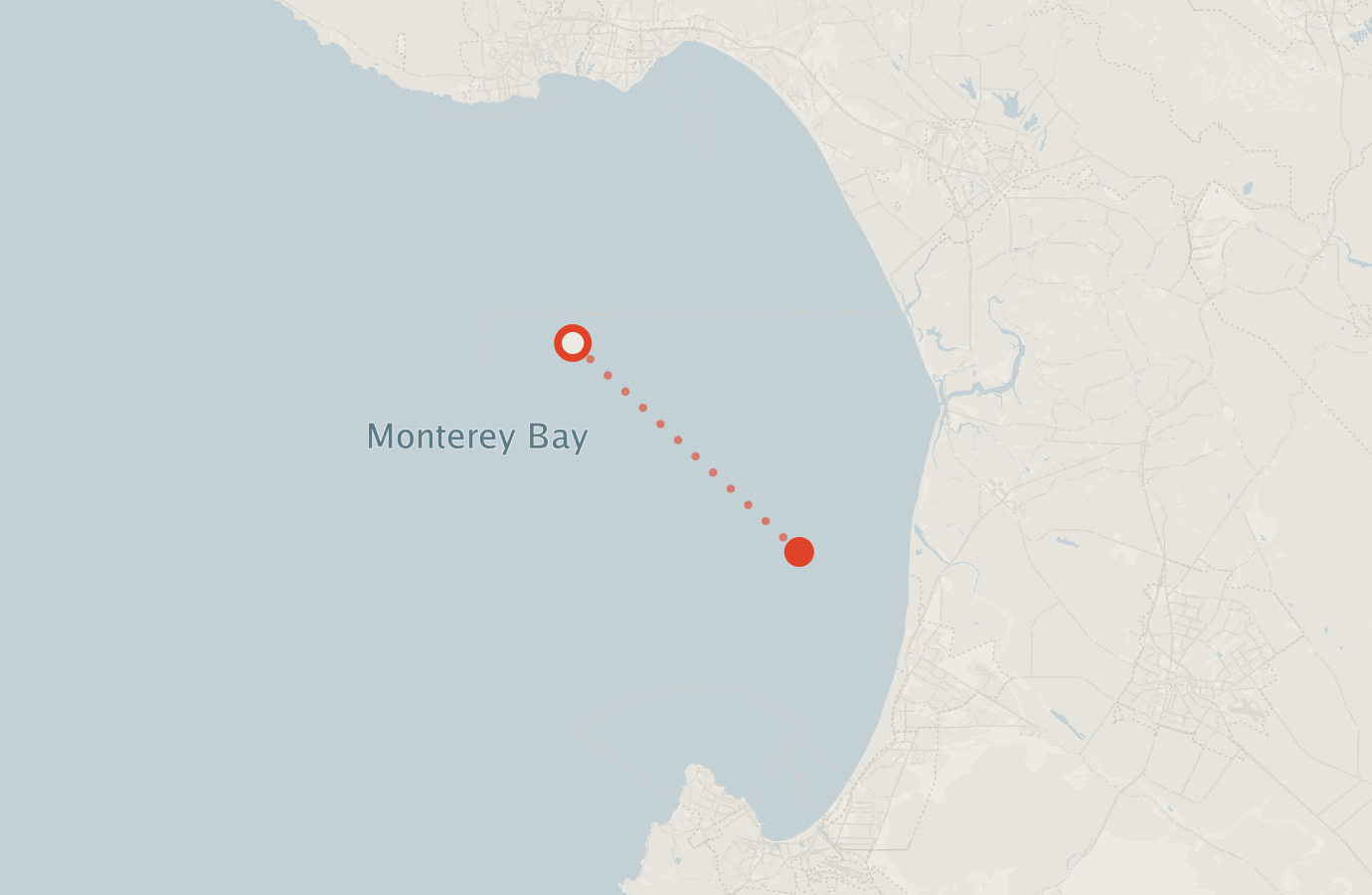 Activity map — real sighting points on an OpenStreetMap basemap