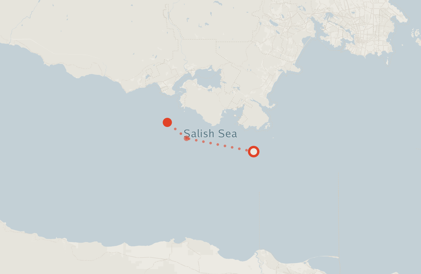 Activity map — real sighting points on an OpenStreetMap basemap