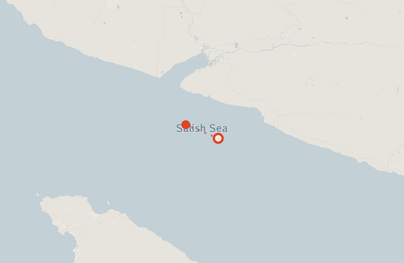 Activity map — real sighting points on an OpenStreetMap basemap
